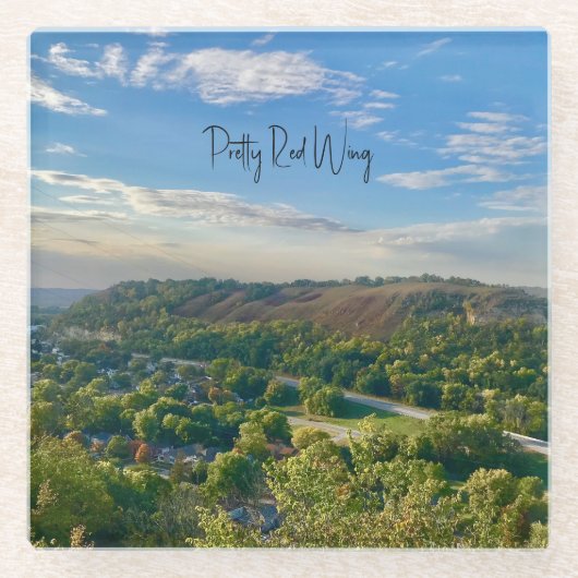 赤かわいらし翼ガラスコースター ガラスコースター (正面)