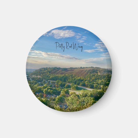 赤かわいらし翼マグネット マグネット (正面)