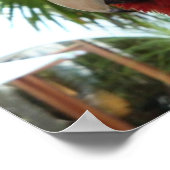 赤かわいらし鸚鵡 ポスター (角)