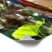 赤かわいらし鸚鵡 ポスター (角)