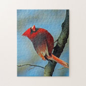 赤かわいらし（鳥）ショウジョウコウカンチョウ写真 ジグソーパズル (縦)