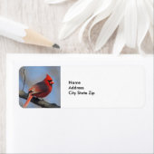 赤かわいらし(鳥)ショウジョウコウカンチョウ野生生物 ラベル (インサイチュ)