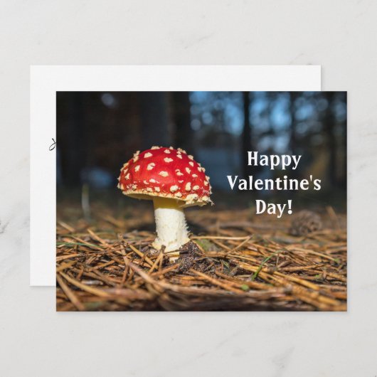 赤きのこのバレンタインデーのはがき ポストカード (正面/裏面)