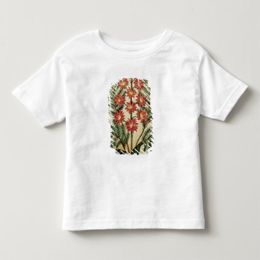 赤くおよび黄色の花が付いているシダ トドラーTシャツ (正面)