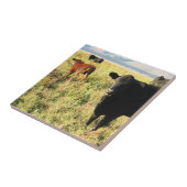 赤くおよび黒い牛子牛の群れ-若い子牛 タイル (側面)