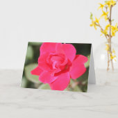 赤くお気に入りのなFloribundaは上がりました カード (黄色い花)