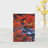 赤くか青の景色 カード (黄色い花)
