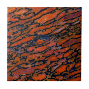 赤く化石化した恐竜の骨 タイル