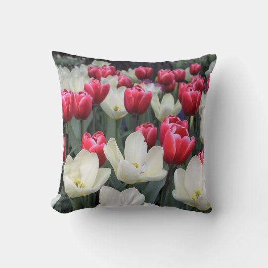 赤く及び白いチューリップの装飾用クッション クッション (正面)