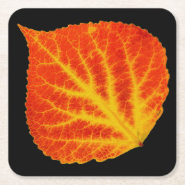 赤く及び黄色の《植物》アスペンの葉#10 スクエアペーパーコースター