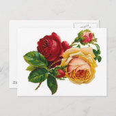 赤く及び黄色バラ ポストカード (正面/裏面)