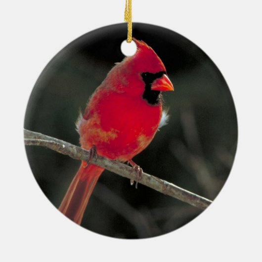 赤く基本的なクリスマスのオーナメント セラミックオーナメント (裏面)