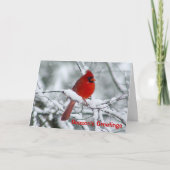 赤く基本的なクリスマスの挨拶状 シーズンカード (正面)