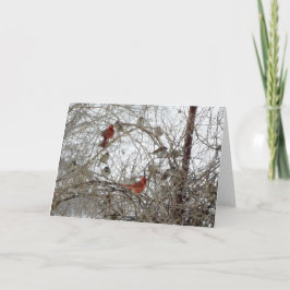 赤く基本的なリース シーズンカード