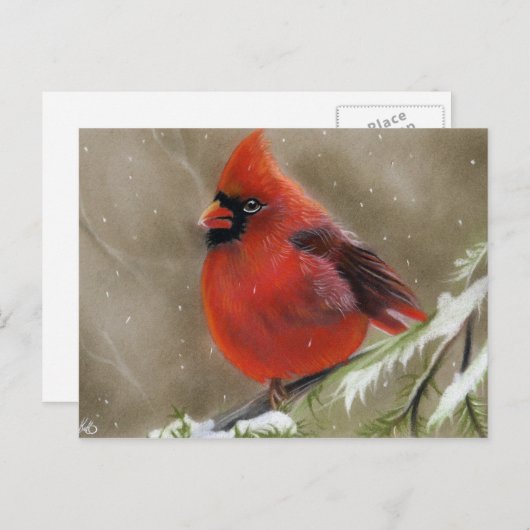 赤く基本的な鳥のクリスマスの郵便はがき シーズンポストカード (正面/裏面)