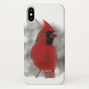 赤く基本的な鳥のiPhone Xの箱 iPhone X ケース