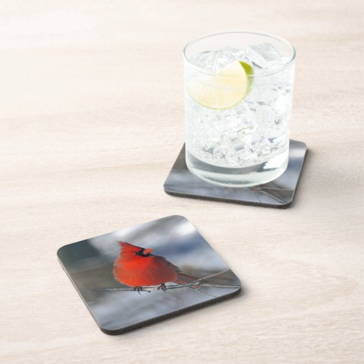 赤く基本的な鳥 コースター (右側)
