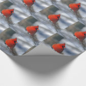 赤く基本的な鳥 ラッピングペーパー (角)