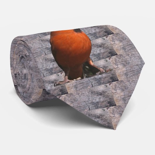 赤く基本的な(大きい)タイ ネクタイ (ロール)