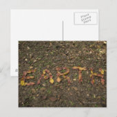 赤く書なる落ちた葉の'EARTH' ポストカード (正面/裏面)