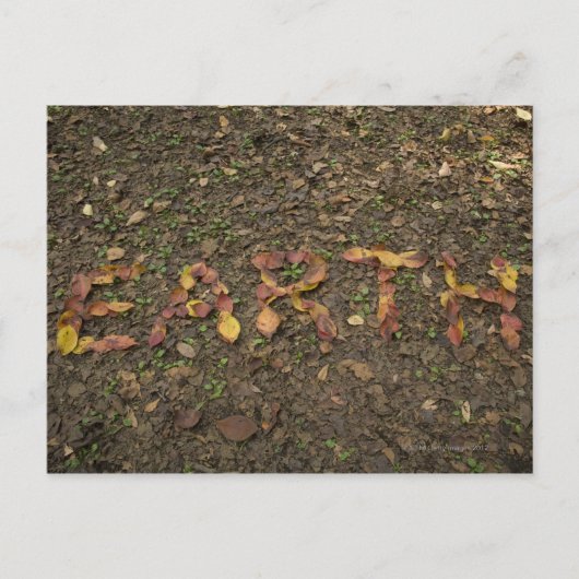 赤く書なる落ちた葉の'EARTH' ポストカード (正面)