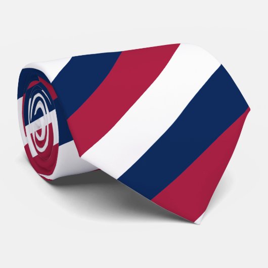 赤く白くおよび青の対角線は縞で飾ります ネクタイ (ロール)