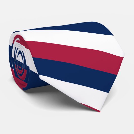 赤く白くおよび青の対角線は縞で飾ります ネクタイ (ロール)