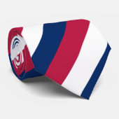 赤く白くおよび青の対角線は縞で飾ります ネクタイ (ロール)