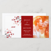 赤さくらんぼ花咲きアジア桜花写真 セーブザデート (正面/裏面)