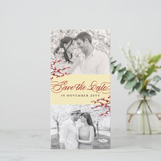 赤さくらんぼ花咲きアジア禅桜花写真 セーブザデート (スタンド正面)