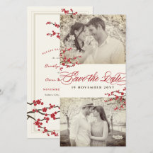 赤さくらんぼ花咲きアジア禅桜花写真