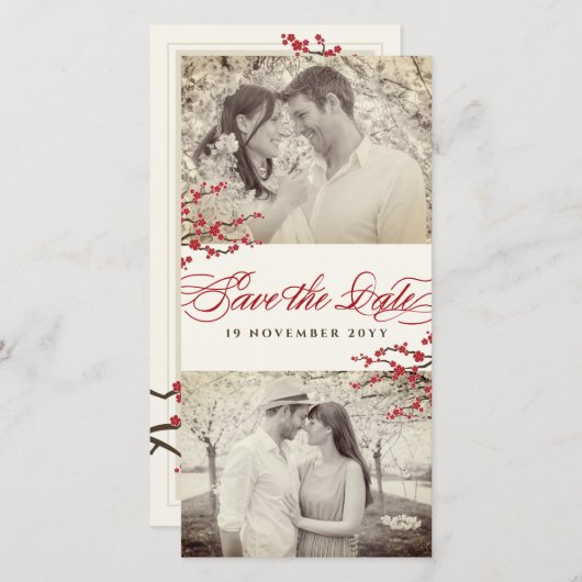 赤さくらんぼ花咲きアジア禅桜花写真 セーブザデート (正面/裏面)