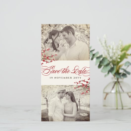 赤さくらんぼ花咲きアジア禅桜花写真 セーブザデート (スタンド正面)