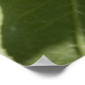 赤さくらんぼ ポスター (角)