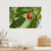 赤さくらんぼ ポスター (キッチン)