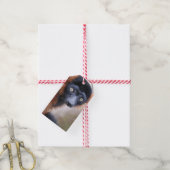 赤ざらめき ギフトタグ (より糸付き)