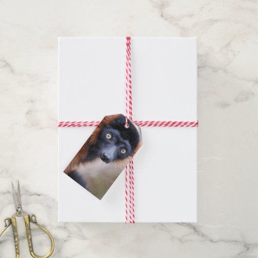 赤ざらめき ギフトタグ (より糸付き)