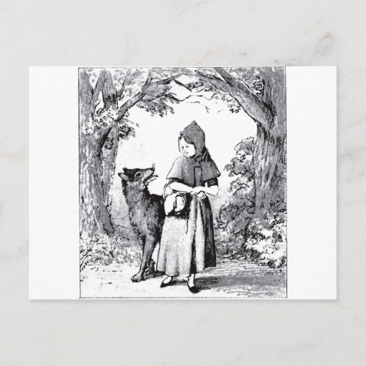 赤ずんぼの写真3 ポストカード (正面)