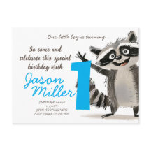 赤ちゃんのためのRacoonをテーマにした誕生日パーティー1