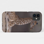 赤ちゃんのキリン iPhone 5 Case-Mate ケース iPhoneケース (裏面(横))