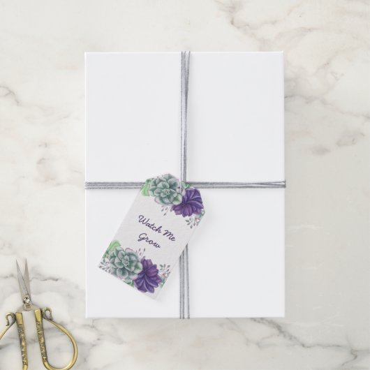 赤ちゃんのシャワーを私が育つのを見て多肉食ありがとう ギフトタグ (より糸付き)