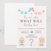 「赤ちゃんはどんな子？」性別発表招待状 招待状 (正面/裏面)