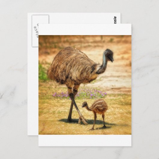 赤ちゃんをずっと見ている母親 ポストカード (正面/裏面)