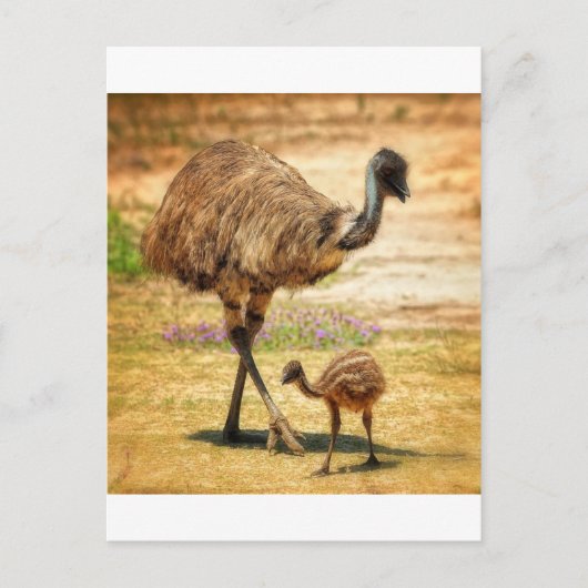 赤ちゃんをずっと見ている母親 ポストカード (正面)