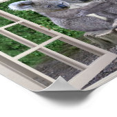 赤ちゃんコアラのためのフェイク窓 ポスター (角)