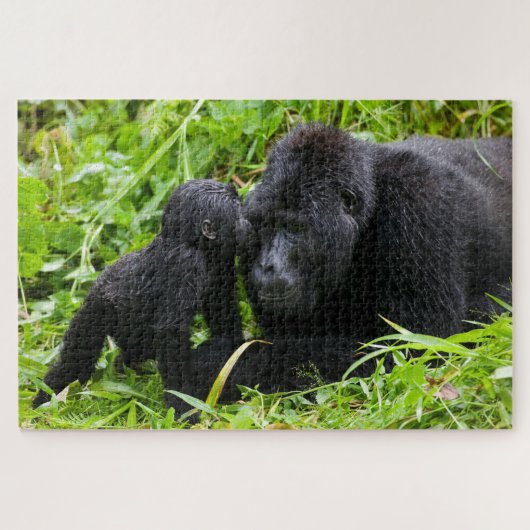 赤ちゃんゴリラがシルバーバックにキス ジグソーパズル (横)