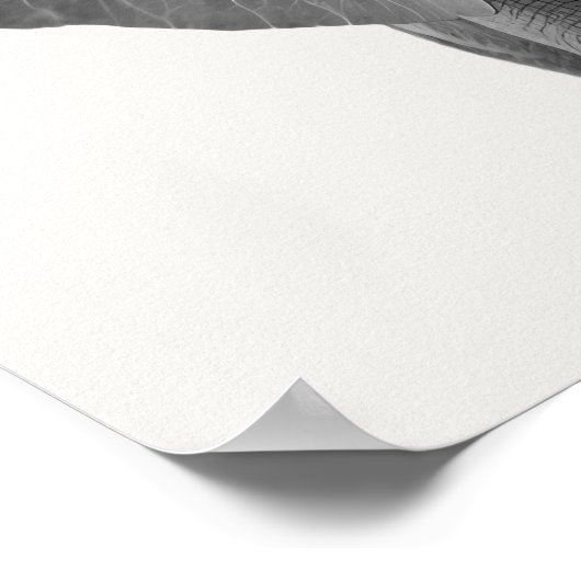 赤ちゃんサファリ アフリカのジャングル動物 エレファント ポスター (角)