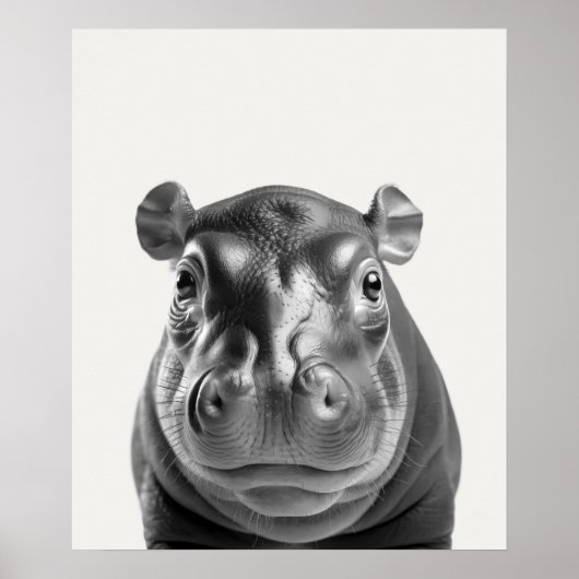 赤ちゃんサファリ アフリカのジャングル動物 ヒポポタマス ポスター (正面)