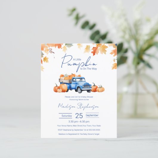 赤ちゃんシャワーの途中でちょっとしたカボチャを予算に計上する (スタンド正面)