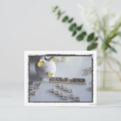 赤ちゃんシャワーボーイ葉書 インビテーションポストカード (スタンド正面)